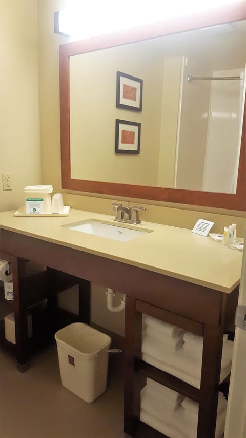 Combined shower/tub, free toiletries, hair dryer, towels