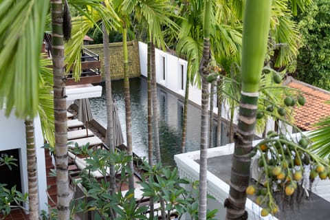Outdoor pool, open 9:00 AM to 9:00 PM, pool umbrellas, sun loungers