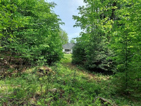 View from stream in back