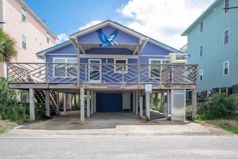 Welcome to Purple Pelican