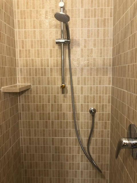 Shower, free toiletries, hair dryer, bidet