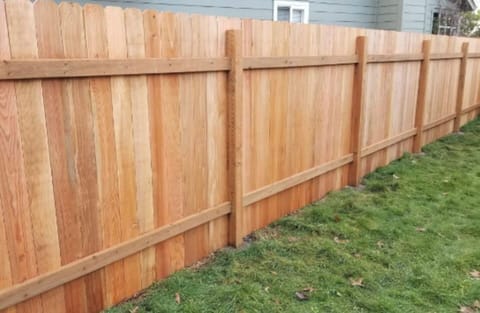 Our private fenced in backyard is perfect for the pups!