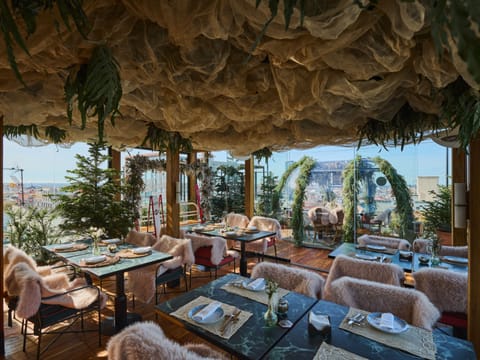 Rooftop terrace