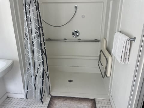 Single Room, Mobility Accessible | Bathroom | Hair dryer, towels