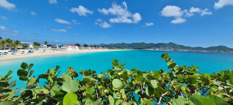 Beach View