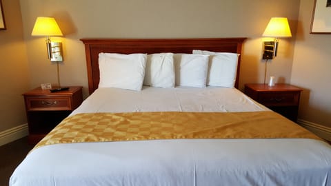 King Room, Refrigerator | Iron/ironing board, free WiFi, bed sheets, wheelchair access
