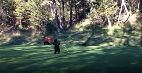 Golf