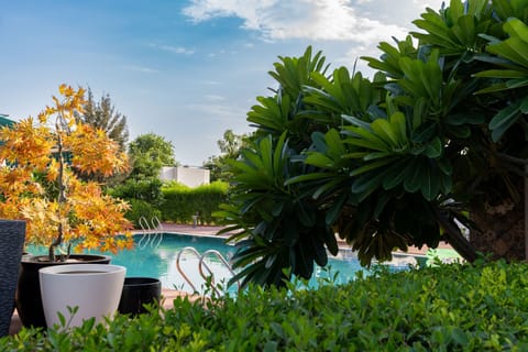Outdoor pool, sun loungers