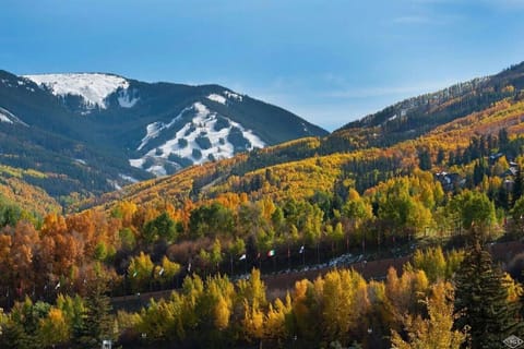 Stunning mountain views!