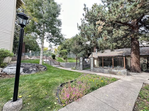 Studio | Property grounds