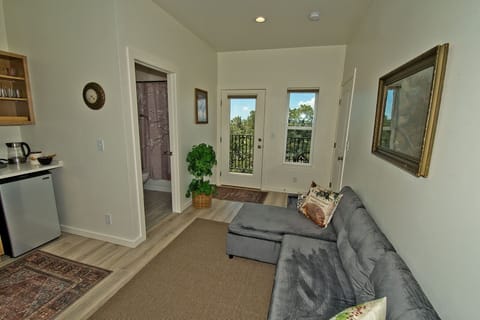 Living Area with Access to Patio and Full Bathroom (2)