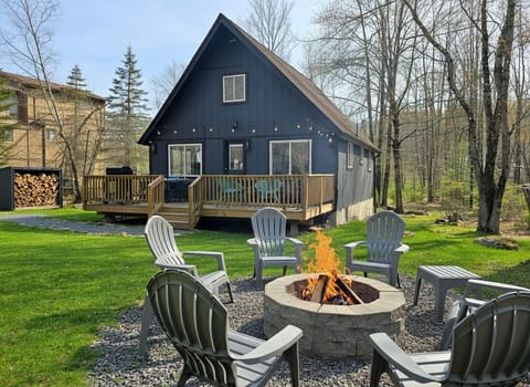 Hopskip Home to your modern chalet nestled in the forest of Arrowhead Lake.