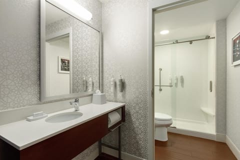 Presidential Suite, 1 King Bed with Sofa bed | Bathroom shower