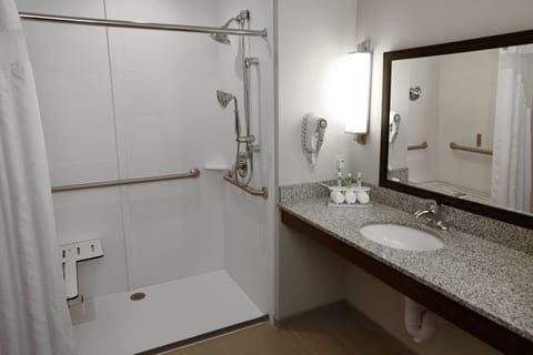 Combined shower/tub, free toiletries, hair dryer, towels
