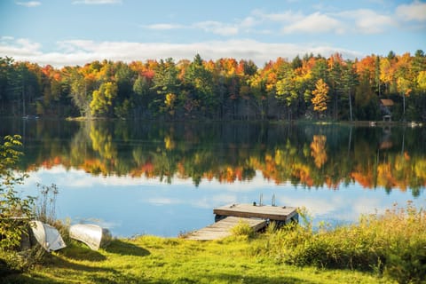 Fall at Town Lake