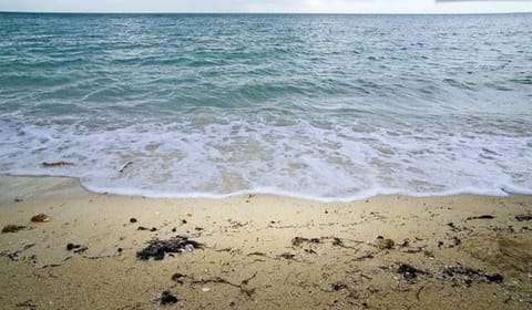 Private beach nearby, beach towels, fishing