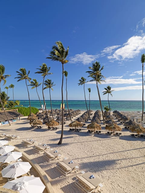 Private beach nearby, white sand, free beach shuttle, sun loungers