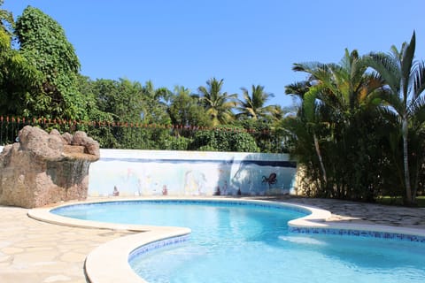 Jetted Pool w/lights and waterfall 