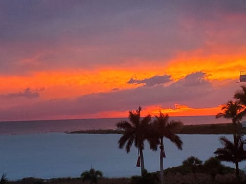 View from Lanai
