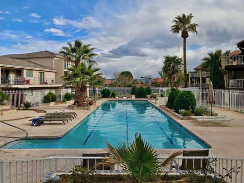 Adult Lap Pool