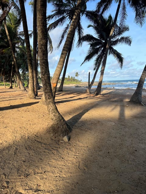Beach nearby, beach shuttle