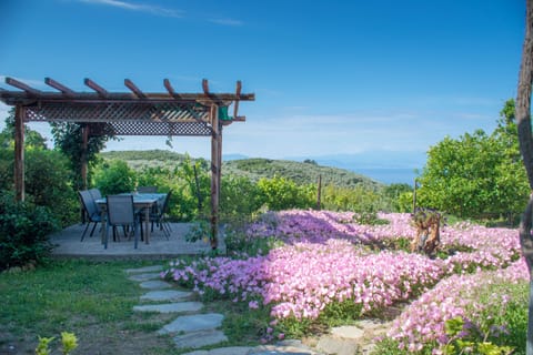 Traditional Duplex | Terrace/patio