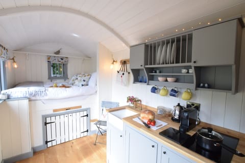 Fridge, cookware/dishes/utensils