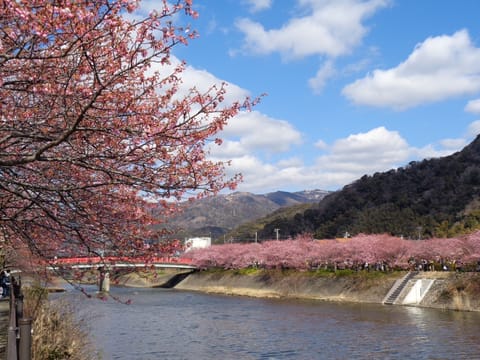 Kawazu Station is a 5-minute walk, and there are supermarkets, drug stores, convenience stores, and restaurants nearby, making it very convenient.