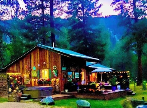 Cozy cabin 35 miles from TVs Yellowstone Dutton Ranch in Darby.Fun,unique cabin.