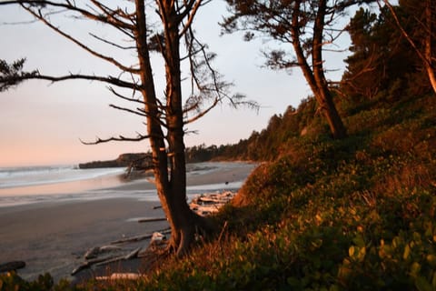 Our Beach access is over a mile from public access either direction, so the beach is very secluded and boasts beautiful sunsets.