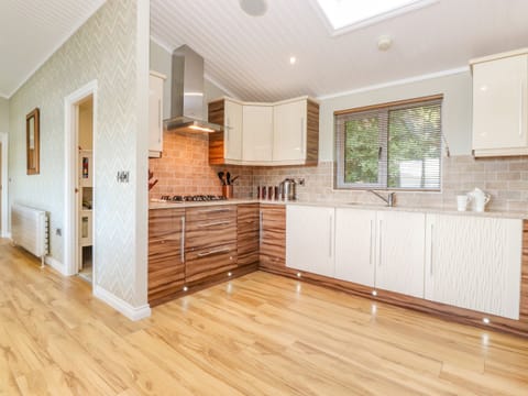 Fridge, dishwasher, electric kettle, toaster