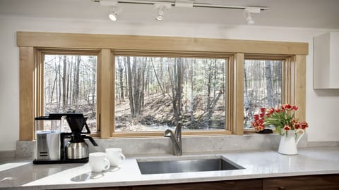 The kitchen window frames a view of the woods + stream (in early spring).