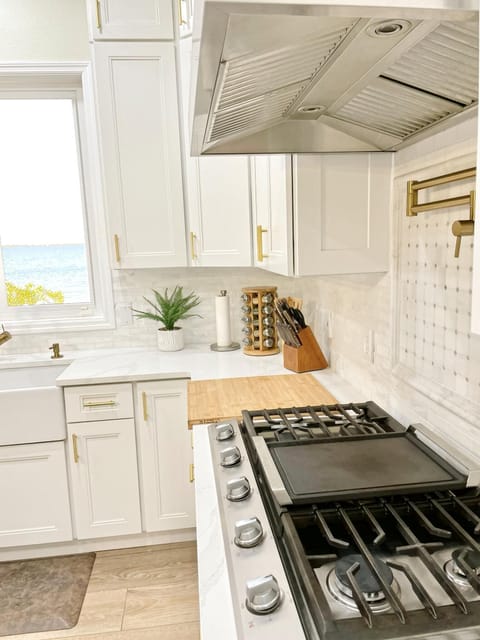 Designer kitchen with top notch appliances