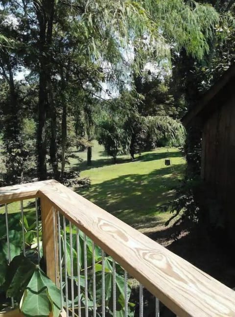 View of Riverbank from Deck in Summer
