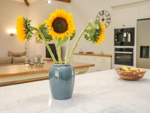 Fridge, dishwasher, electric kettle, toaster