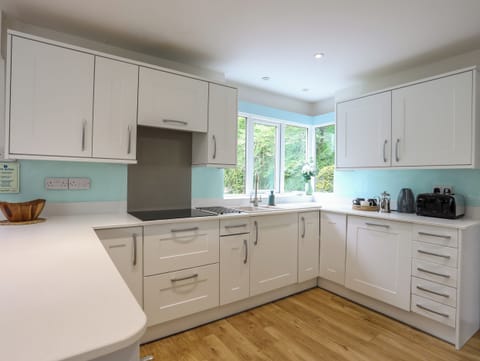 Fridge, dishwasher, electric kettle, cookware/dishes/utensils