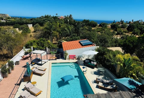 Outdoor pool, sun loungers