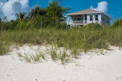 Welcome to Lavender Beach House.  Perched above a two-mile-long pink-sand beach with just 5 other houses along the entire length of the beach.