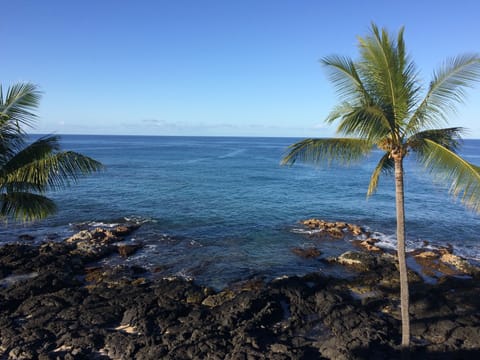 Full ocean view