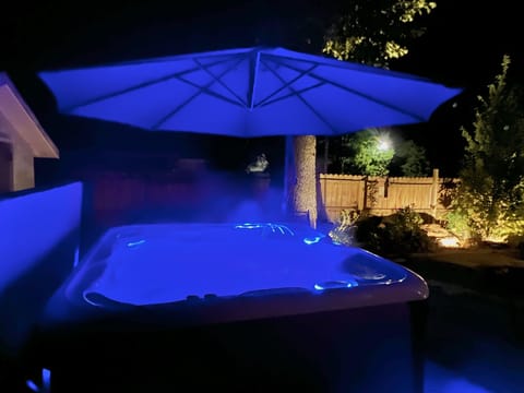 Hot tub: mood lighting, remote controls, and salt water system. Top of the line