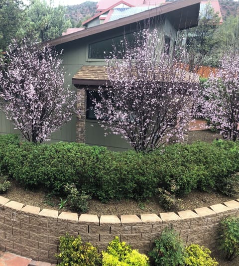 Exterior: Outside view of Casita