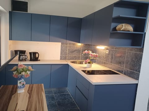 Apartment (One Bedroom Apartment with Terrace (G) | Private kitchen | Fridge