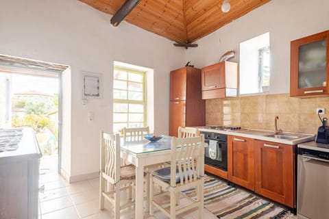 Villa | Private kitchen | Fridge, oven, stovetop, dishwasher