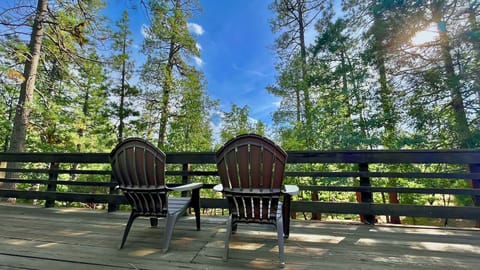 Welcome to in the Pines!