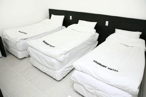 Triple Room | Blackout drapes, iron/ironing board, free WiFi, bed sheets