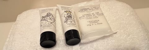 Free toiletries, hair dryer, towels