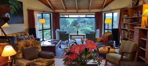 TV, fireplace, DVD player, stereo