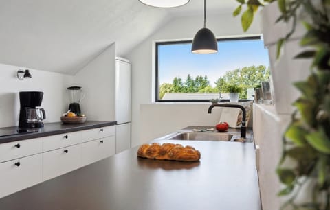 Fridge, stovetop, dishwasher, coffee/tea maker