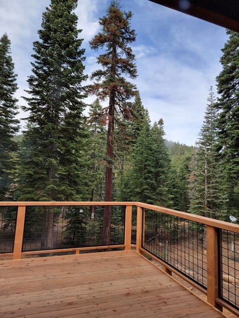 Forest views from all new back deck.