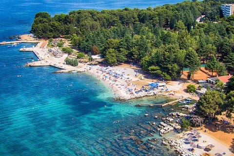 Apartment | Beach | Beach nearby